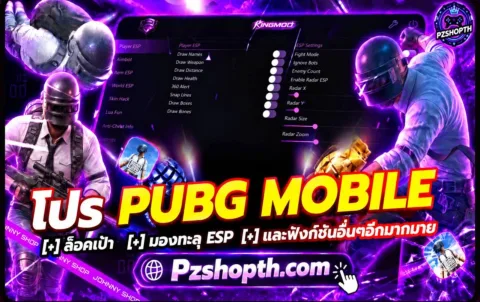 PUB G  King mod premium  (6ชั่วโมง)